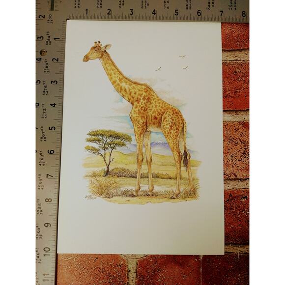 Giraffe - Ohne Sorge - 1999 Vtg‎ ART PRINT - 7"x10" - Unique Wall Decor - Picture 3 of 8